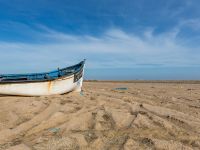 Punta La Sarga, Dakhla Peninsula, Western Sahara, Morocco 20180218_0311